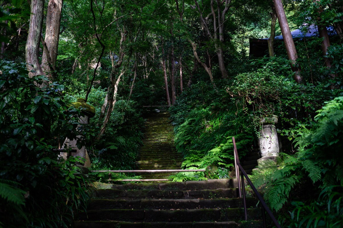 苔の階段が美しい鎌倉の妙法寺に行ってきた インスタ映えスポット Tegelog